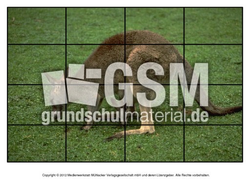 Puzzle-Känguru-1.pdf